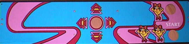 Fake Ms pac man